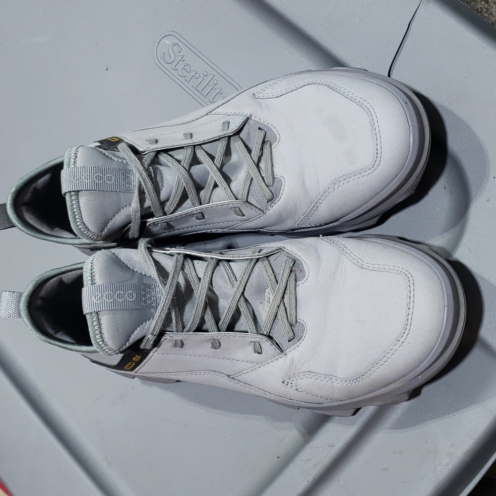 Ecco MX low